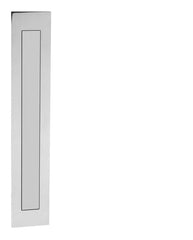 JNF - Muscheln in.16.406.p