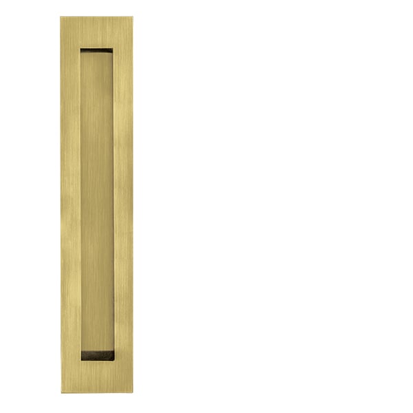 JNF - Muscheln in.16.416