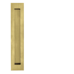 JNF - Muscheln in.16.416