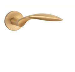 AS - Gerbera - R 7s - Handles auf runden Rosetten