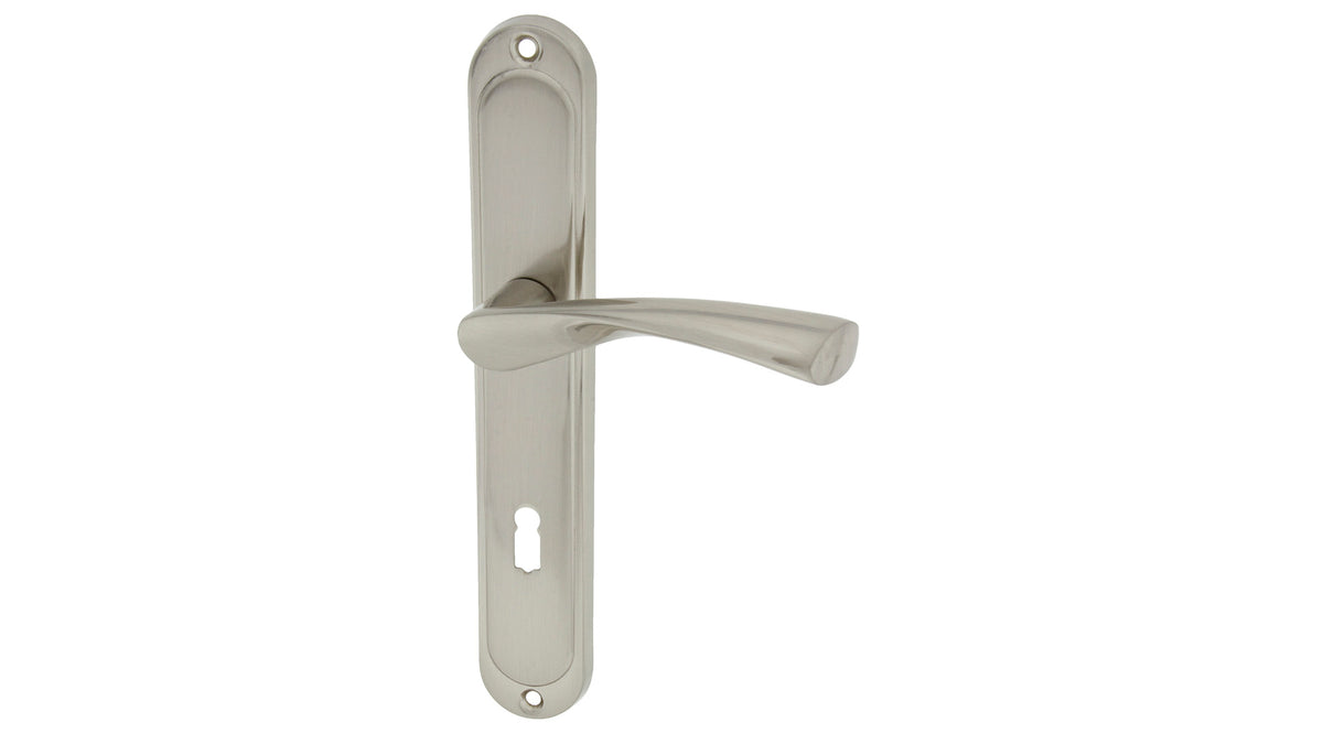 Dajana nickel satin - Door Handle on a Backplate
