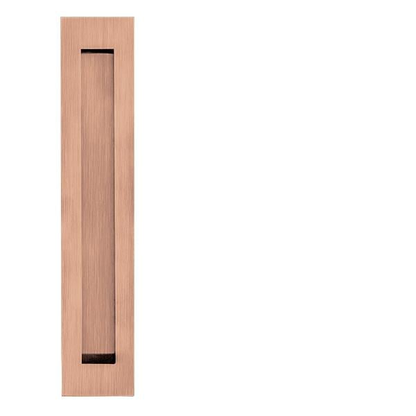 JNF - Muscheln in.16.416