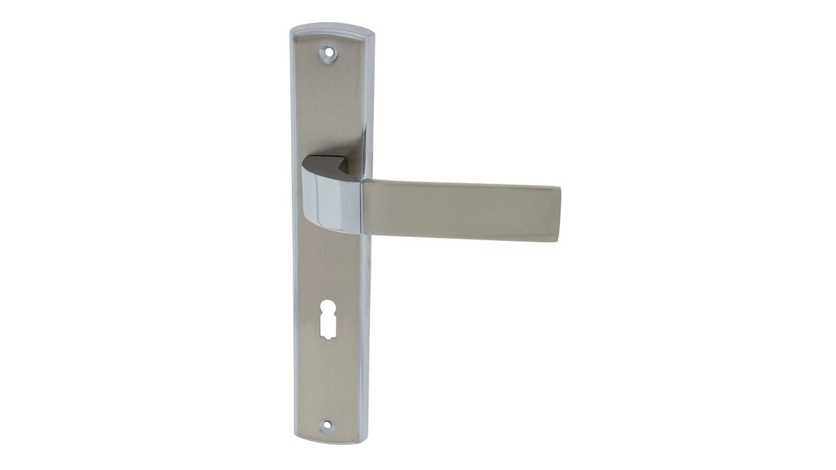 Hector Nickel Chrom - Langschild-Türgriff
