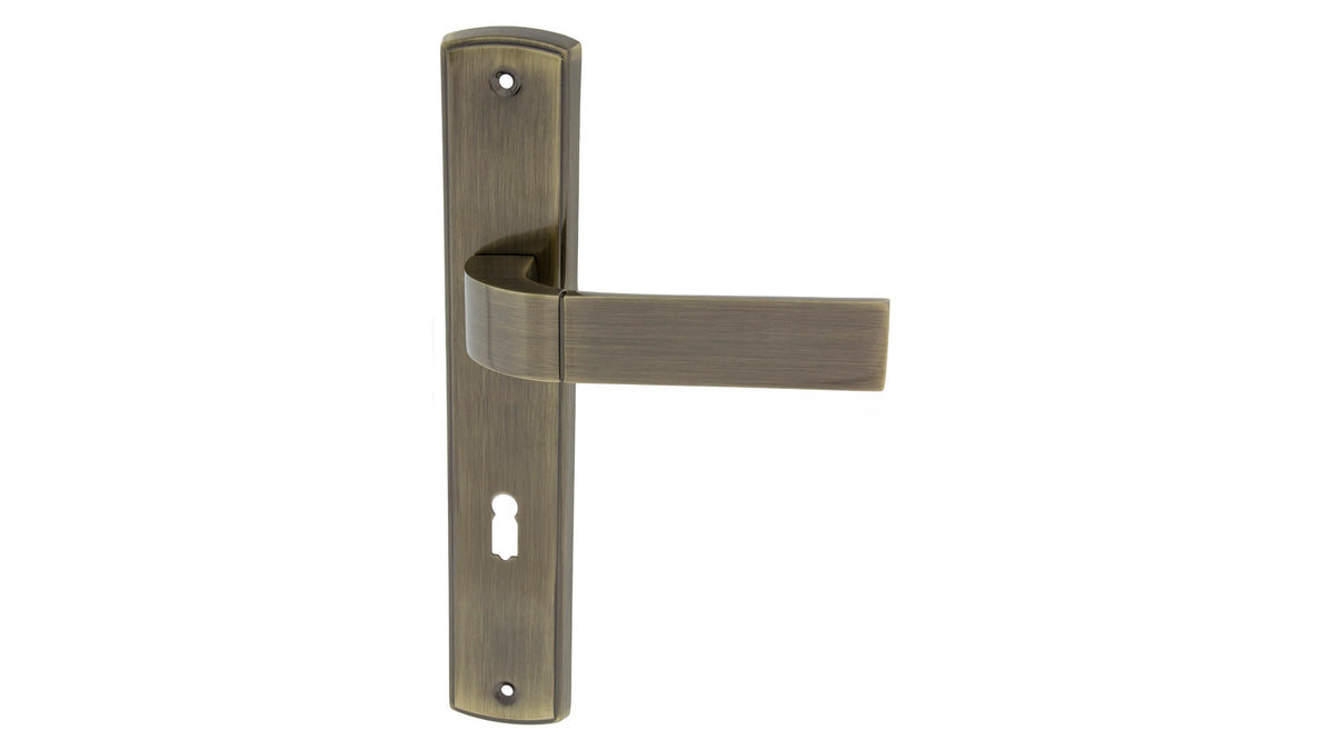 Hector patina - Shield Door Handle