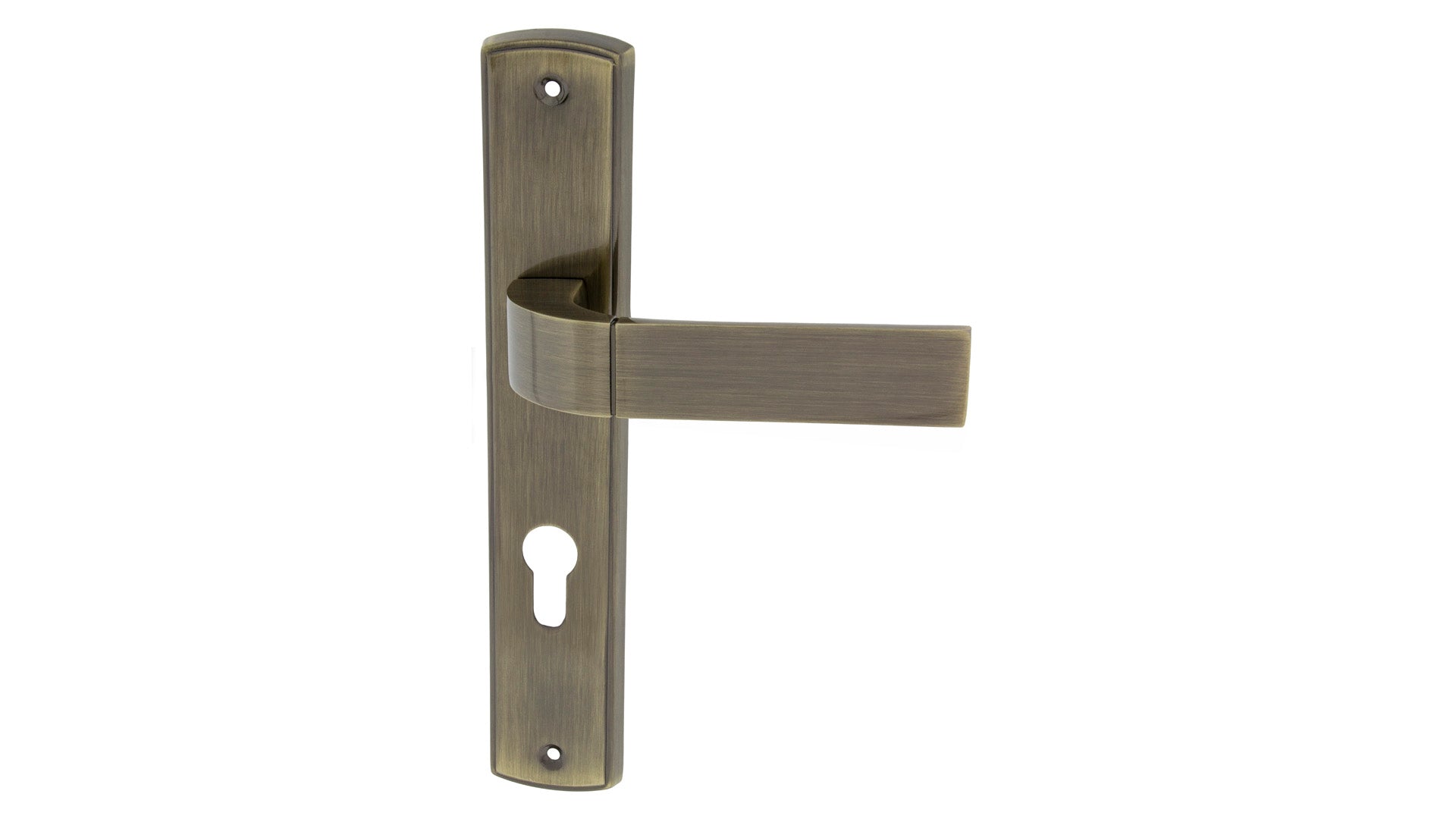Hector patina - Shield Door Handle