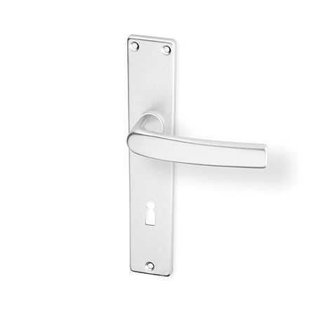 Lara door  - Door Handle on a Backplate - F1 natural