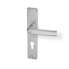 Lara door  - Door Handle on a Backplate - F9 steel