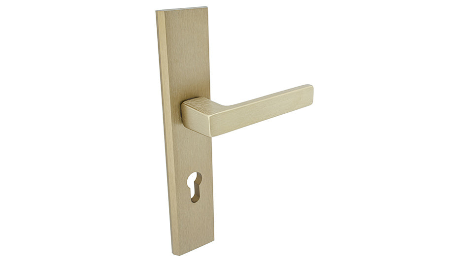 THEO Patina K+K -External Door Handle on a Backplate