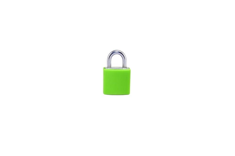 Richter Czech Padlock RV.2402.20 - grün